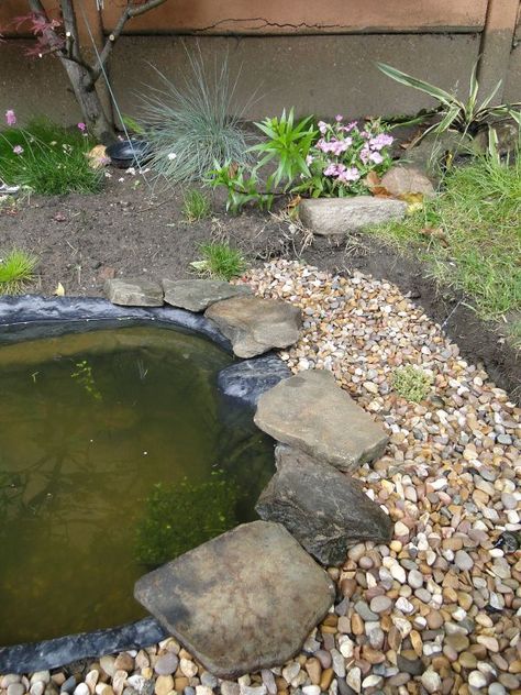 Pond Edging Ideas, Garden Ponds Ideas, Pond Edging, Ponds Ideas, Garden Scrapbook, Wildlife Pond, Frog Pond, Pond Garden, Garden Ponds