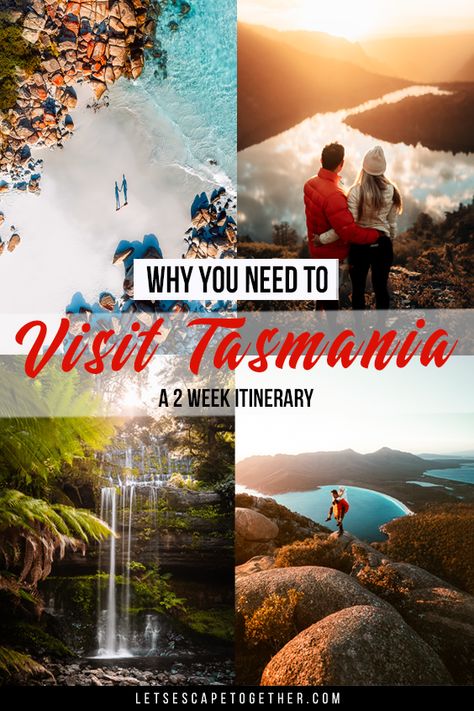 This is why you need to visit Tasmania - A 2 week itinerary Tasmania Road Trip, Australia Trip, Australian Road Trip, Bruny Island, Australia Itinerary, Australia Vacation, Dream Holiday, River Cruises, Crystal Clear Water