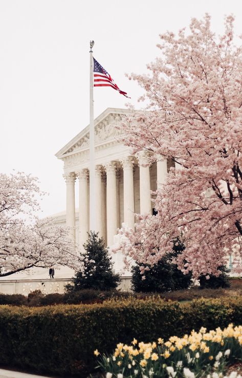 Weekend Trip, Schmidt, Washington Dc, American Flag, Washington, Places To Visit, Trees, Flag, Building