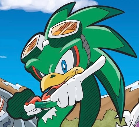 Jet The Hawk Pfp, Jet The Hawk Icon, Babylon Rogues, Wave The Swallow, Vector The Crocodile, Jet The Hawk, Goofy Icons, Sonic Riders, Sonic And His Friends