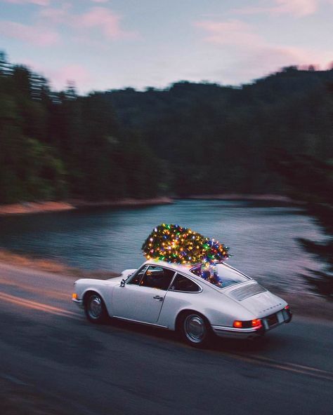 @voguegram on Instagram: “Porsche Christmas tree delivery” Cavo Tagoo Mykonos, Driving Home For Christmas, Porsche 912, Porsche Classic, Vintage Porsche, Porsche Macan, Christmas Car, Automotive Photography, Classic Porsche