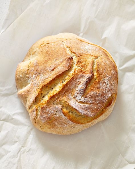 A roundup of the easiest, most foolproof bread recipes to bake at home plus tips and techniques to achieve success. Foolproof Bread Recipe, Beginners Bread Recipe, Knead Bread Recipe, Bread At Home, Bake Bread, Focaccia Recipe, Making Bread, No Knead Bread, No Knead