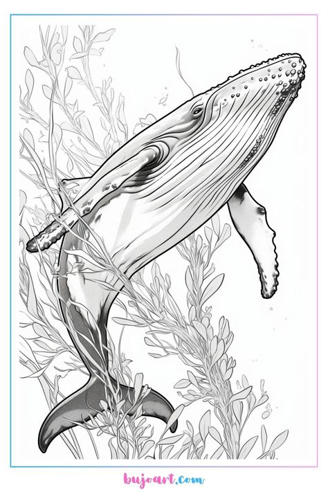 Whale Drawing Reference, How To Draw A Whale, Whale Sketch, Mermaid Sleeve Tattoos, Whale Coloring, Whale Artwork, Dolphin Drawing, Whale Coloring Pages, Seahorse Tattoo