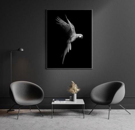 Dark Elegant Interior, Flying Macaw, Studio Background Ideas, Home Recording Studio Setup, Materials Board Interior Design, Steel Bed Frame, Japandi Living, Elegant Living Room Decor, House Interior Design Styles