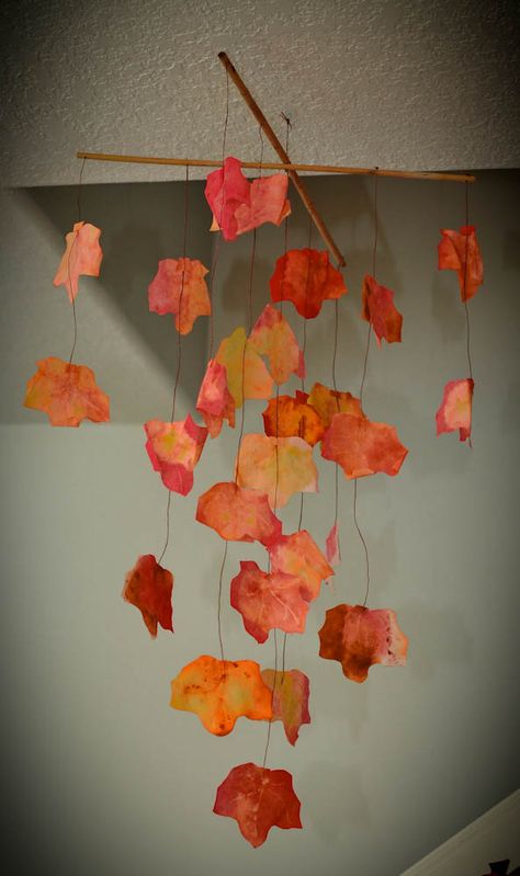 DSC_3717 Leaf Mobile, Leaf Projects, Autumn Palette, Kids Crafting, Leaf Template, Autumn Crafts, Coffee Filters, Autumn Leaf, Coffee Filter