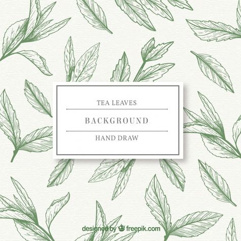 Tea Leaf Illustration, Tea Leaves Illustration, Leaves Sketch, Sketch Background, Tea Packaging Design, Leaves Background, Leaves Illustration, Graphic Trends, Leaf Illustration