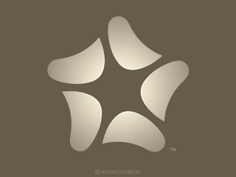 Starfish Coastal Environment, Newcastle University, Wood Trivets, Commercial Center, Plans Architecture, Resort Design, House Furniture Design, Prop Design, House Furniture