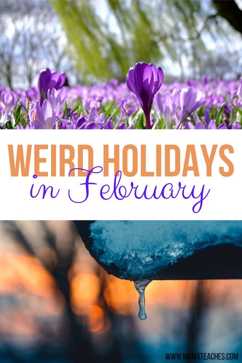 Unusual and Weird Holidays in February - Mama Teaches Holidays In February, Homeschool Holidays, February Holidays, Calendar Activities, Cool Calendars, Holiday Activities For Kids, World Thinking Day, Calendar Time, Culture Day