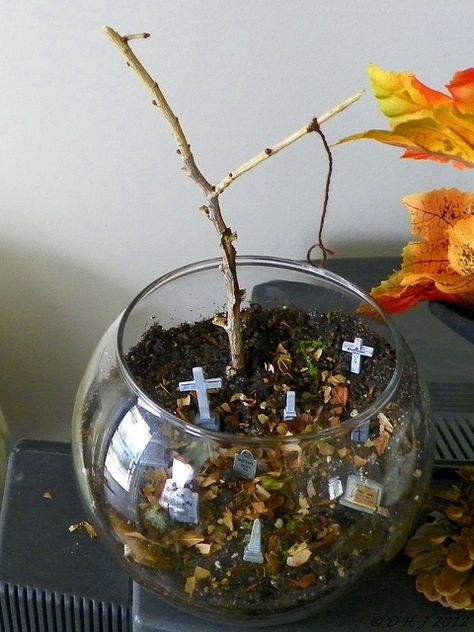 Cemetery Miniature, Cemetery Terrarium, Spooky Terrarium, Halloween Terrarium, Make A Terrarium, Halloween Fairy Garden, Halloween Diorama, Halloween Bedroom, Halloween Fairy