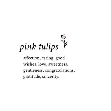 Tulips Quotes, Tulip Flower Pictures, New Job Quotes, Poems Deep, White Bg, Job Quotes, Feed Ig, Nothing But Flowers, Language Of Flowers