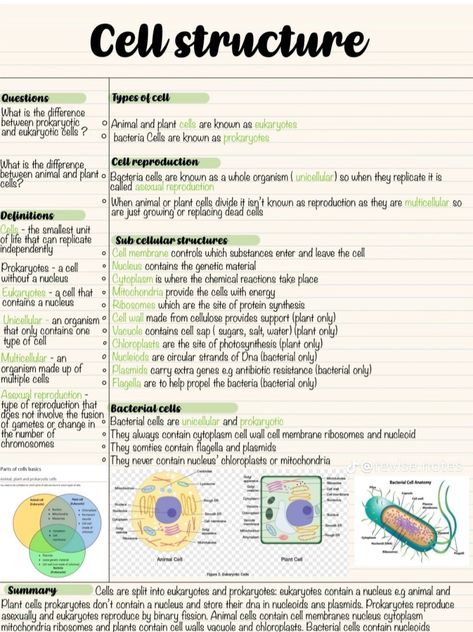 Cell Notes Anatomy, Anatomy Cells Notes, Biology College Notes, Cell Study Notes, Anatomy And Physiology Cells Notes, Cell Biology Notes Gcse, Cell Physiology Notes, Cell Chapter Notes, Cell Anatomy Notes