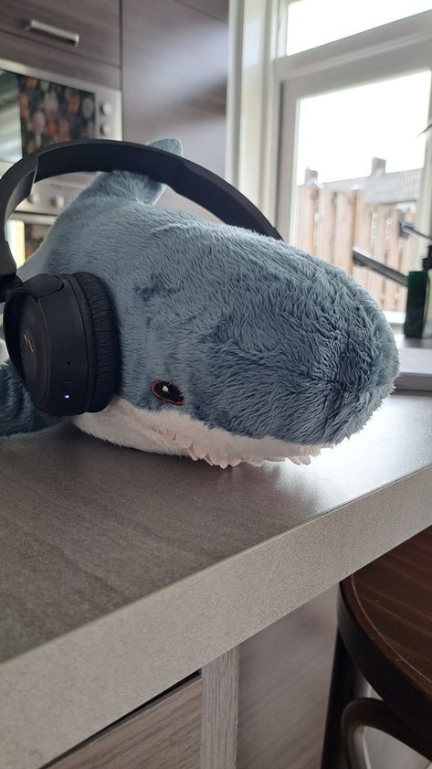 Blåhaj Pfp, Blahaj Pfp, Blahaj Shark, Ikea Shark, Thresher Shark, Shark Pictures, Shark Plush, Sharks Funny, Silly Photos