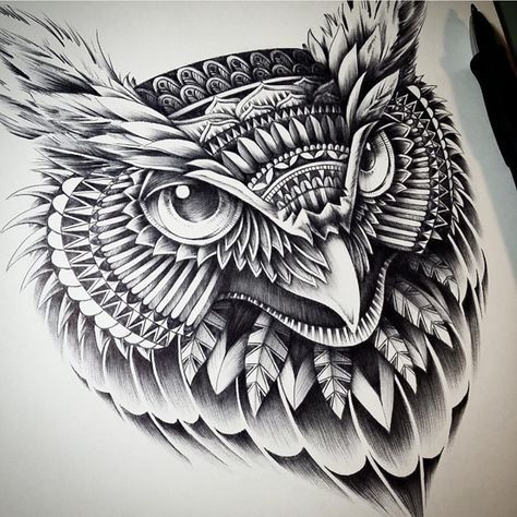 Owl Head. Ornate and Intricate Animal Drawings. To see more art and information about Ben Kwok click the image. Owl Tattoo Drawings, Tatuagem Masculina Pequena, Native Tattoos, Owl Head, Owl Tattoo Design, Inspiration Tattoo, American Tattoos, Indian Tattoo, Owls Drawing