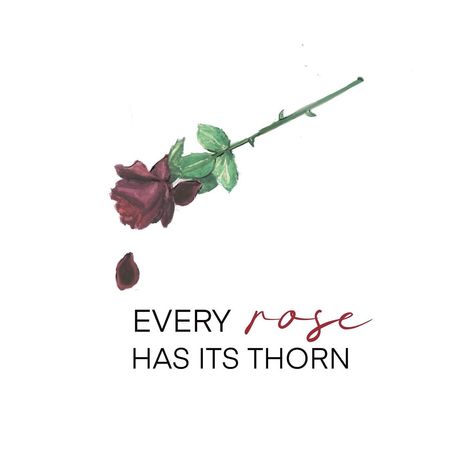 Every Rose Has Its Thorn Quote, Rose With Thorns, Every Rose Has Its Thorn, Paper Desk, Rose Quotes, Rose Thorns, Glam Metal, Meaningful Words, Freelance Illustrator