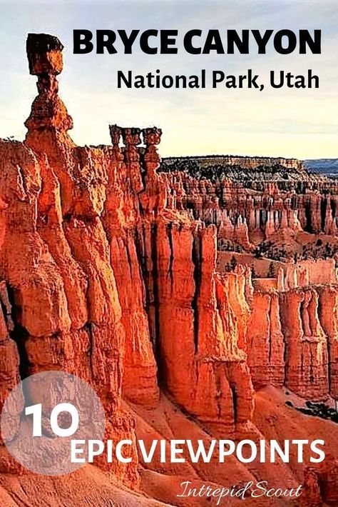 10 Epic Viewpoints in Bryce Canyon National Park - Intrepid Scout Bryce Canyon Hikes, Travel Advertisement, Utah Road Trip, National Park Vacation, National Park Road Trip, Utah Travel, Outdoor Vacation, Bryce Canyon National Park, Utah National Parks