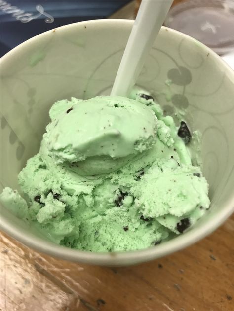 Mint Chocolate Chip Ice Cream Recipe, Chocolate Chip Ice Cream Recipe, Mint Chocolate Ice Cream, Mint Chocolate Chip Ice Cream, Milk Ice Cream, Mint Ice Cream, Protein Ice Cream, Yummy Ice Cream, Mint Chocolate Chip