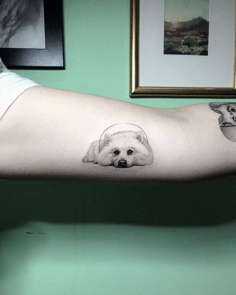 Japanese Spitz tattoo on the left inner forearm. Ted Tattoo, Phone Tattoo, Small Dog Tattoos, Tattoos For Dog Lovers, Single Needle Tattoo, List Inspiration, Tattoo Japanese, Paw Print Jewelry, Japanese Spitz