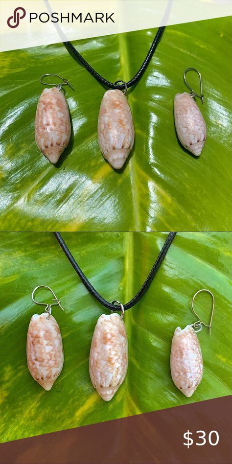 Lettered olive shell earring necklace jewelry set Lettered Olive Shell Crafts, Olive Shell Crafts, Lettered Olive Shell, Olive Shell, Vieques Puerto Rico, Seashell Projects, Beach Shells, Shell Crafts Diy, Seashell Jewelry