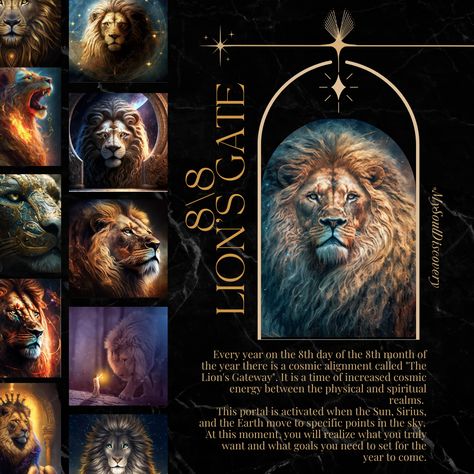 Lions Gate Portal 2023, Ashtar Command, Lions Gate, Angel Guidance, Money Affirmations, Spiritual Quotes, Reiki, Art Wallpaper, Ritual