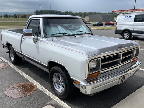 1988 Dodge D 150 Pickup 1988 Dodge Ram, Ram Rt, Doge Ram, Dodge Ram Power Wagon, Dakota Truck, Ram Power Wagon, Dodge Pickup Trucks, Old Dodge Trucks, Vintage Pickup