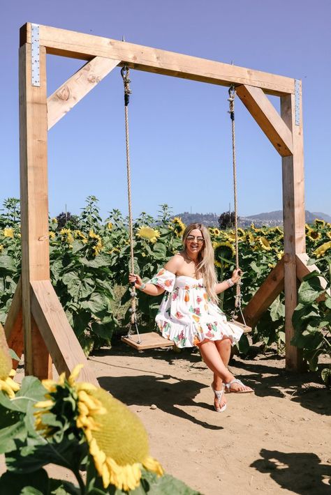 Swing in sunflower fields in Abbotsford, BC Ranch Outdoor Decor, Flower Maze Garden, Outdoor Farm Decor, Sunflower Patch Garden, Pumpkin Patch Business Ideas, Backyard Pumpkin Patch Ideas, Farm Business Ideas, Agritourism Ideas Farms, Farm Fall Decor