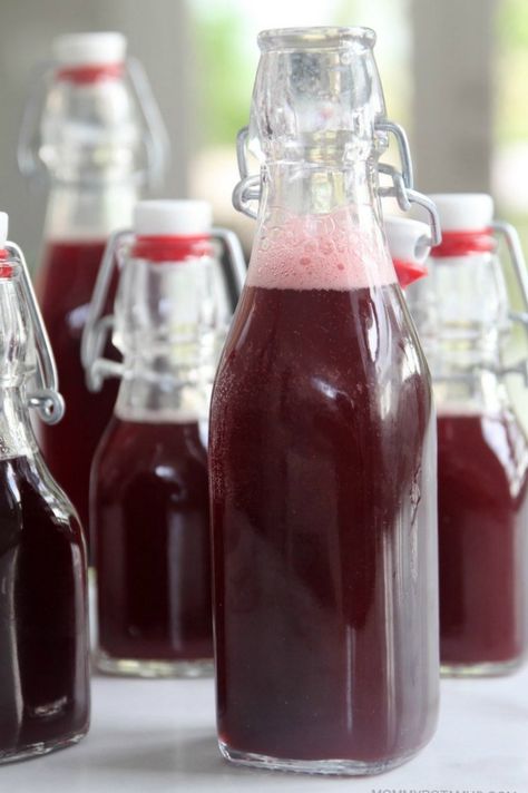 How To Make Fizzy Elderberry Soda Fermented Beverages, Elderflower Tea, Fermenting Foods, Homemade Ginger Ale, Elderberry Tea, Ginger Bug, Elderberry Syrup Recipe, Cultured Food, Elderberry Juice