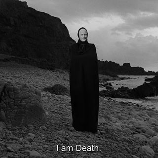 The Cinegogue (@thecinegogue) • Instagram photos and videos Seventh Seal, Max Von Sydow, The Seventh Seal, Ingmar Bergman, Septième Art, Foreign Film, Film Inspiration, Movie Lines, Film Quotes