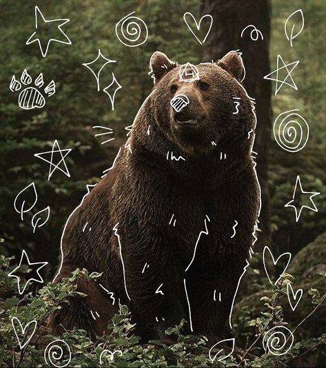 Werebear Aesthetic, Bear Pfp Cute, Bear Astethic, Bear Moodboard, Bear Therian, Bear Doodles, David Core, Bear Pfp, Therian Pfp