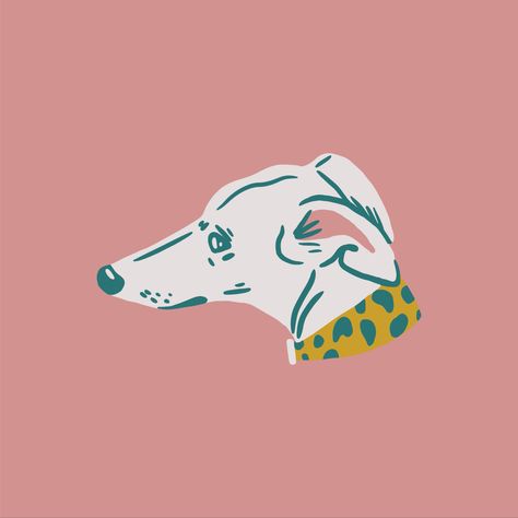 Dingo Illustration, Italian Greyhound Illustration, Pet Illustration Design, Greyhound Drawing, Dog Graphic Design, Greyhound Illustration, Greyhound Dog, Dog Illustrations, Italian Greyhound Art