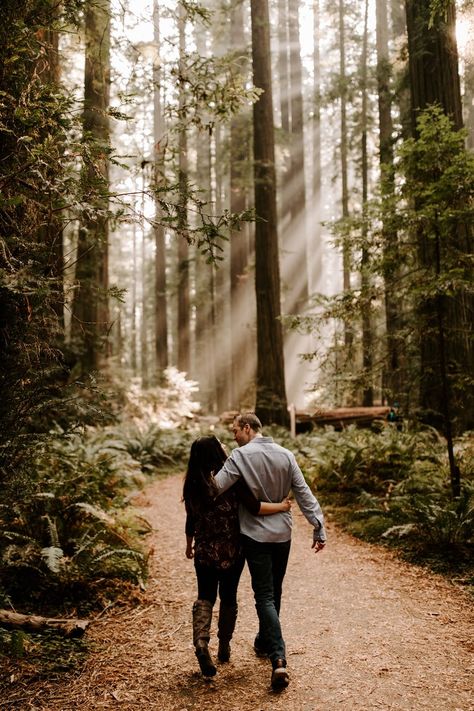 Redwood Couple Photoshoot, Engagement Photoshoot Ideas Forest, Engagement Photos Redwoods, Engagement Photos Pine Trees, Redwoods Engagement Photos, Redwood Engagement Photos, Theatre Poses, Woodsy Engagement Pictures, Couple Forest