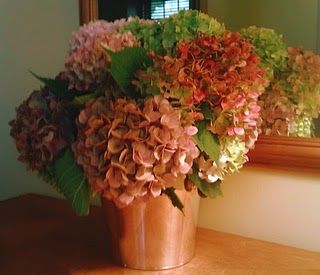 Just add a couple of tablespoons of glycerin to the water in the arrangement, the blossoms absorb it and the flowers will be preserved. Drying Hydrangeas, Preserving Flowers, Dried Hydrangeas, Thrifty Decor, Dried Flower Arrangements, How To Preserve Flowers, Flower Crafts, Pressed Flowers, Fresh Flowers