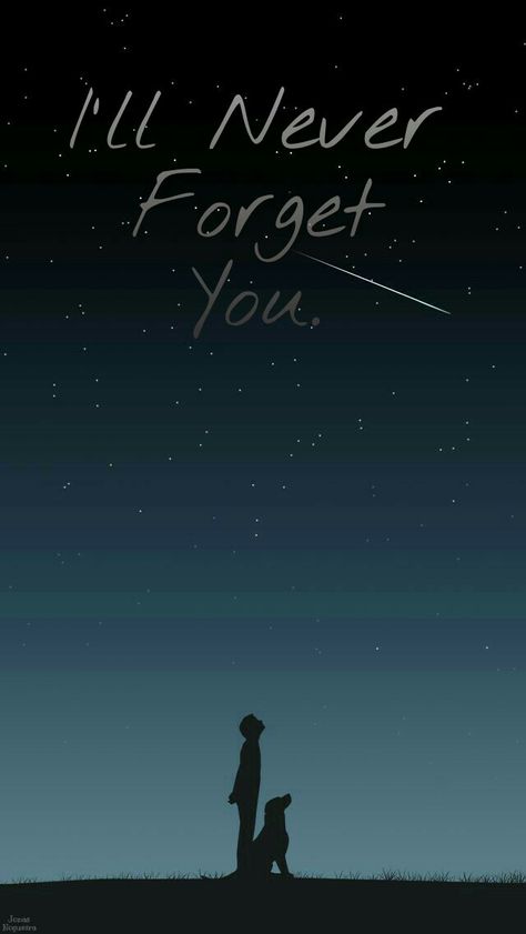 I will never forget you Wallpaper You Will Never See Again, All Dogs Go To Heaven Wallpaper, Wallpapers You Will Never See Again, I Will Never Forget You Quotes, I Will Never Forget You, Missing Someone In Heaven, Cosmic Quotes, I Never Forget You, Star Love Quotes