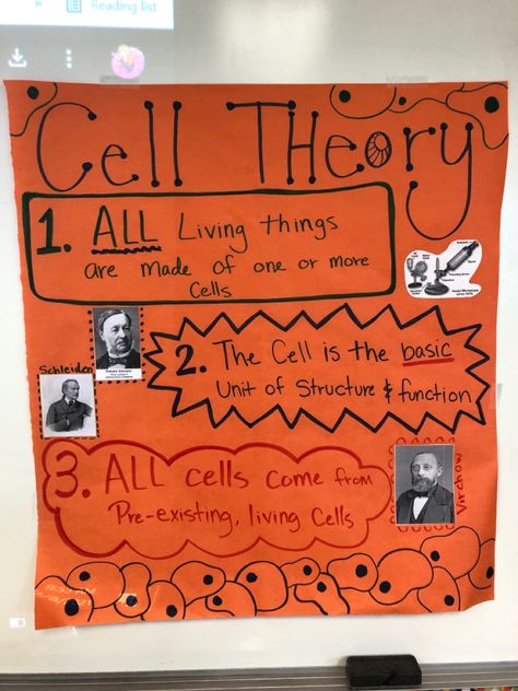 #science #middleschoolscience #cellthory #anchorcharts Cell Theory Anchor Chart, Cell Anchor Chart, Cell Theory, Science Cells, Structure And Function, Seventh Grade, Anchor Chart, Middle School Science, Body Systems