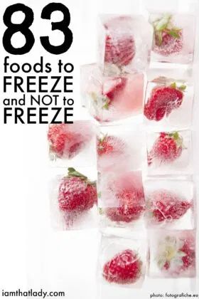 Food you can Freeze: 13 Foods you didn't know you can freeze Foods To Freeze, Freezing Vegetables, Easy Freezer Meals, Dump Meals, Frozen Veggies, Food Saver, Food Info, Freezer Cooking, Frozen Meals