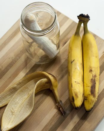 Science Fair: Do Bananas Give Birth to Maggots? Space Science Projects, Decaying Fruit, Rotting Fruit, Rotting Food, Earth Science Experiments, Seed Science, Gravity Science, Science Fair Board, Composting Food Scraps