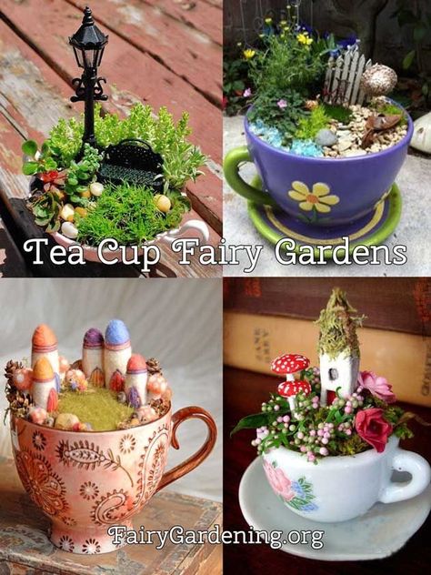 Fairy Teacup, Kaktus Dan Sukulen, Fairy Garden Ideas, Teacup Gardens, Teacup Crafts, Fairy Garden Designs, Fairy Garden Crafts, Garden Ideas Cheap, Miniature Fairy Garden