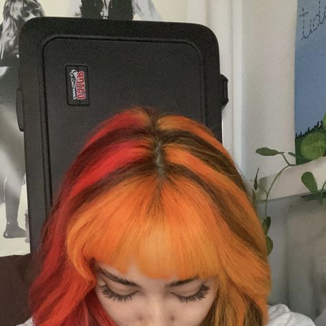 orange skunk hair black and white striped hair y2k hair inspo Orange And Black Hair Streaks, Color Curly Hair Ideas, Orange Skunk Stripe Hair, Y2k Striped Hair, Black And White Striped Hair, Black And Orange Hair, Orange And Black Hair, Toralei Stripe, Hair Y2k