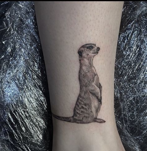 Meerkat Tattoo Design, Meerkat Tattoo, Tattoo Design, Tattoo Ideas, Tattoo Designs, Design Ideas, Bee, I Hope, Tattoos