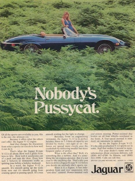 Nobody's Pussycat Vintage Jaguar Ad Jaguar Cars, Auto Poster, Car Brochure, Childish Gambino, Jaguar Car, Jaguar E, Retro Ads, Jaguar E Type, Car Advertising