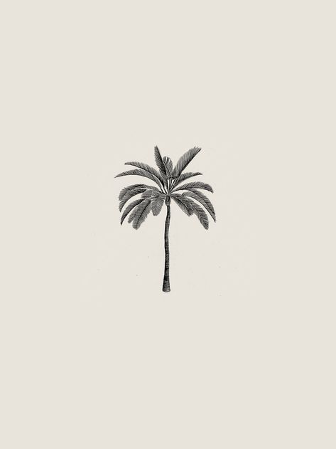 Palm Tree Art Print, Palm Tree Illustration Design, Little Palm Tree Tattoo, Palm Tree Branding, Palmtrees Illustration, Palms Drawing, Palm Tree Tattoo Design, Palms Tattoo, Palms Illustration