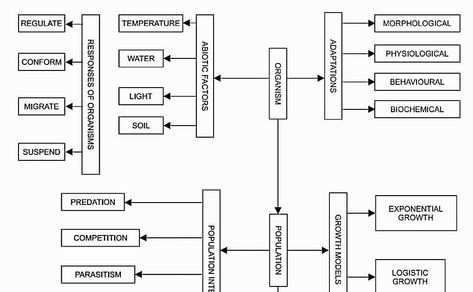 Trophic Level, Carnivorous Animals, Biology Revision, Birth Rate, Study Biology, Exponential Growth, Revision Notes, Biology Notes, Equations
