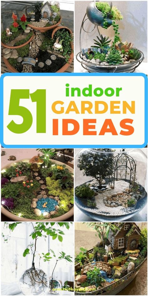 Mini Garden Ideas Small Spaces Indoor, Indoor Garden Apartment Small Spaces, Small Indoor Garden Ideas, Mini Garden Ideas Small Spaces, Terrarium Closed, Indoor Zen Garden, Indoor Garden Apartment, Growing Crops, Water Ideas