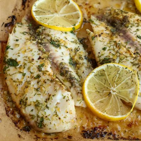 Baked Tilapia Recipes, Lemon Fish, Small Town Woman, Dill Recipes, Baked Tilapia, Tilapia Recipes, Lemon Dill, Dill Sauce, Fish Dinner