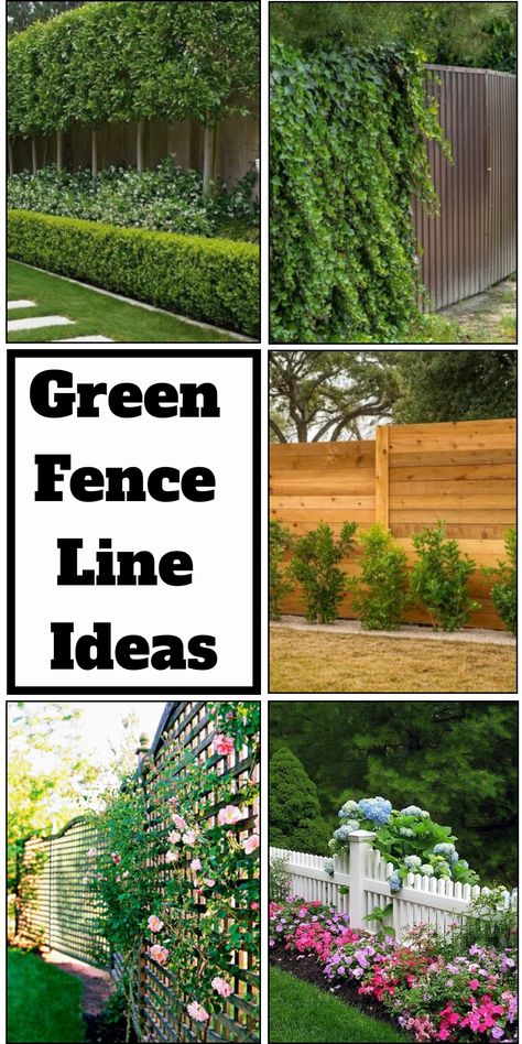 The fence may transform from a simple structure enclosing your home into a work of art that expresses your mood and gives visitors a sense of joy, security, and interaction. Your property will evolve into a beautiful landscape by improving your fence lines. Landscape Along Fence Line, Plants Along Fence Line, Fence Line Landscaping Ideas, Fence Line Landscaping, Line Ideas, Low Fence, Diy Privacy Fence, Green Fence, Garden Inspo