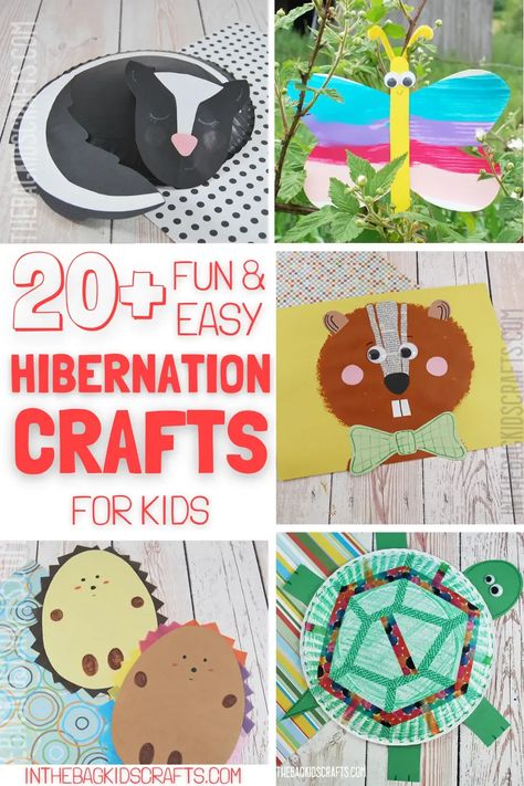 These adorable hibernating animal crafts are the perfect thing to add to your preschool unit or just to make for fun with your kid at home. Perfect as a January craft activity for kids or as a hibernation activity for preschoolers and beyond. There are so many fun and simple crafts in this list of more than 20 animals that hibernate crafts. Animals That Hibernate Preschool Craft, Turtle Hibernation Craft, Hibernation Preschool Activities Science, Animals That Hibernate Crafts, Migration Crafts For Toddlers, Hibernating Animals Crafts For Toddlers, Hibernation Unit Study, Hibernation Process Art, Animal Hibernation Preschool