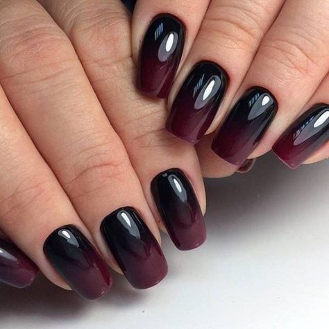 dark-plum-fall-ombre-nails Ombre Nail Design, Plum Nails, Fall Ombre, Ombre Nail Art Designs, Unghie Sfumate, Purple Nail, Her Nails, Ombre Nail Designs, Nail Art Ombre