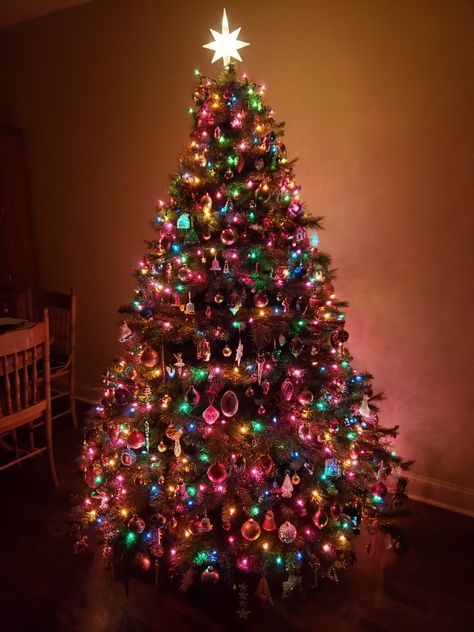 Colour Lights Christmas Tree, Colourful Lights Christmas Tree, Christmas Colored Lights Tree, Bright Coloured Christmas Tree, Warm Colorful Christmas Lights, Rainbow Christmas Lights Tree, Christmas Tree Ideas Colourful, Coloured Christmas Lights, Colored Lights On Christmas Tree