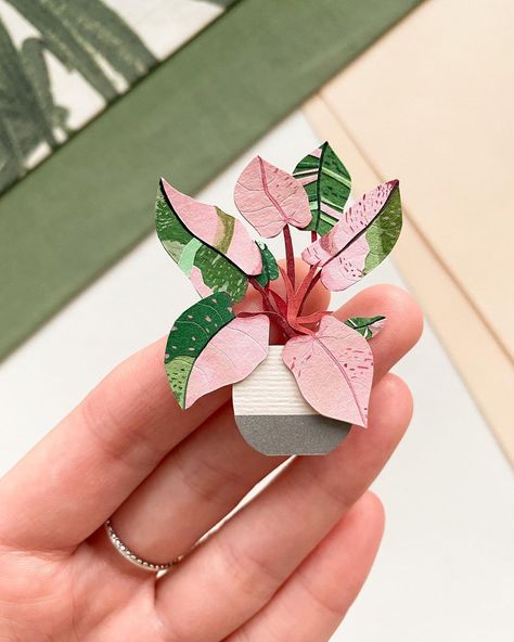 Tania Lissova on Instagram: “Philodendron Pink queen 💗💚 Do you like unusual plants? or just green is the most beautiful for you? . The store will be updated on November…” Tania Lissova, Philodendron Pink Princess, Princess Svg, Unusual Plants, Pink Princess, Paper Cut, Svg File, Most Beautiful, Cricut