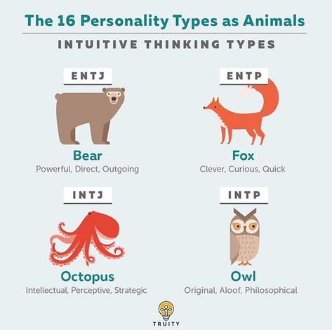 Mbti Animals Personality Types, Books For Mbti Types, Mbti Animals, Mbti And Hogwarts Houses, How I See Mbti Types, The 16 Personality Types, Infp Personality Type, Intj Intp, Infp Personality