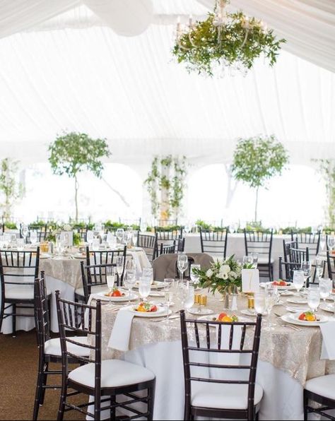 Brown Chiavari Chairs Wedding, Chiavari Chairs Wedding, Chairs Wedding, Chiavari Chairs, Event Lighting, Wedding Chairs, Resort Wedding, Table Seating, Beautiful Table